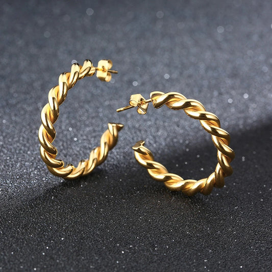 Ariel New Design Twisted Steel Hoop Earrings for Women