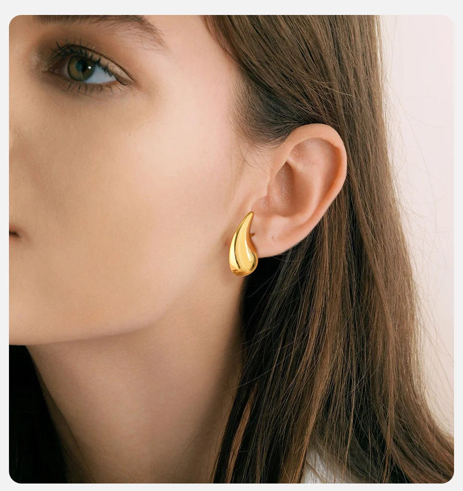 Ariel Chic Teardrop Earrings for Women