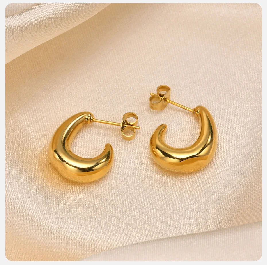 Ariel Chic Moon Earrings for Women