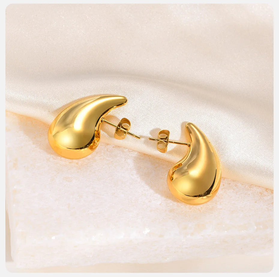 Ariel Chic Teardrop Earrings for Women