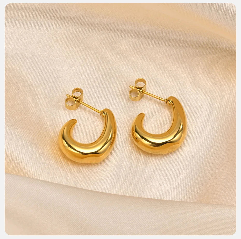 Ariel Chic Moon Earrings for Women